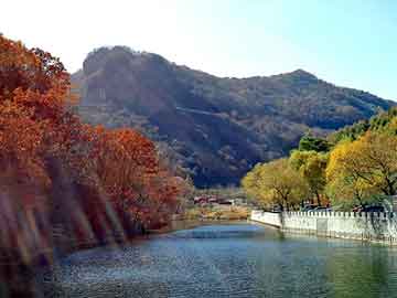 澳门二四六天天免费好材料，四川日报广告部电话